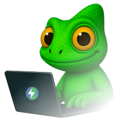 Gecko with a laptop