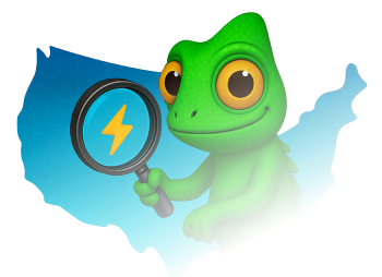 Gecko with magnifying glass over a map of the USA